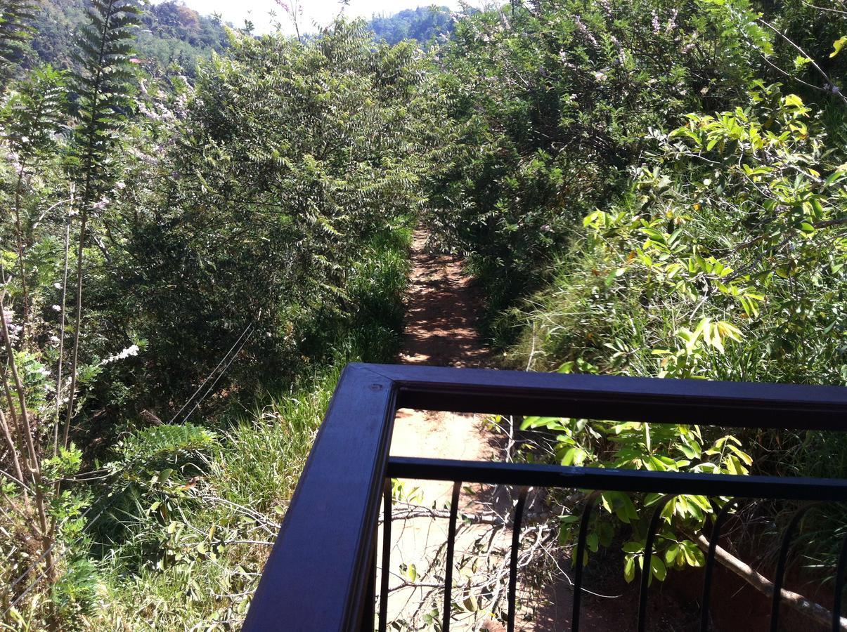 Witherspoon Lodge Kandy