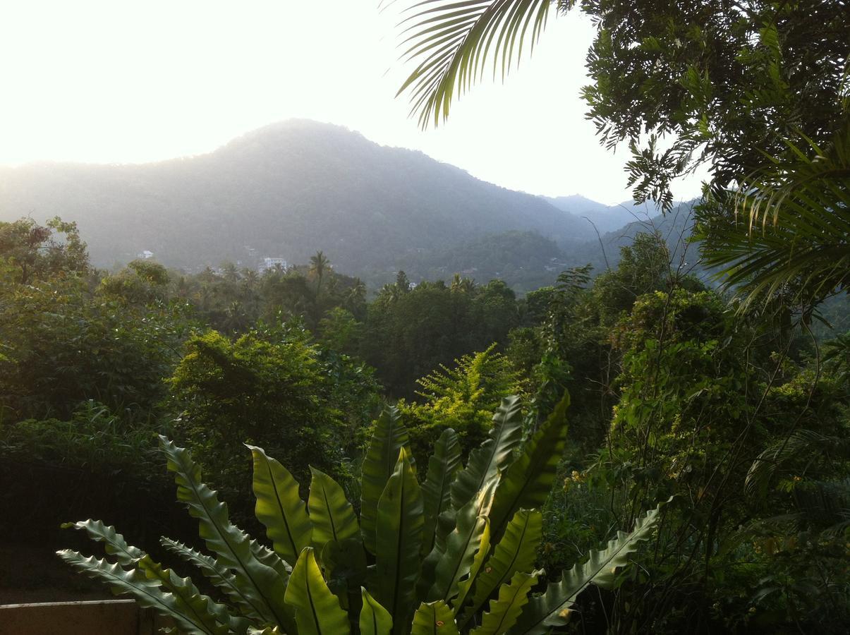 Witherspoon Lodge *